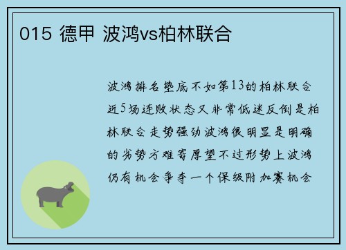 015 德甲 波鸿vs柏林联合